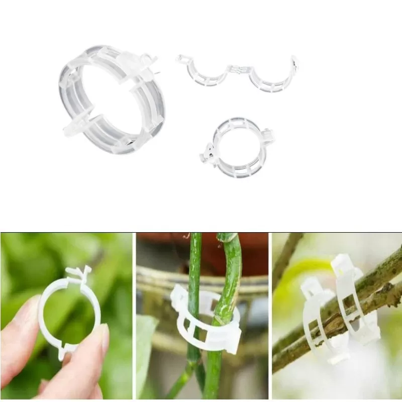 INF Stödjande Klämmor för Växter - 100 pack Transparent