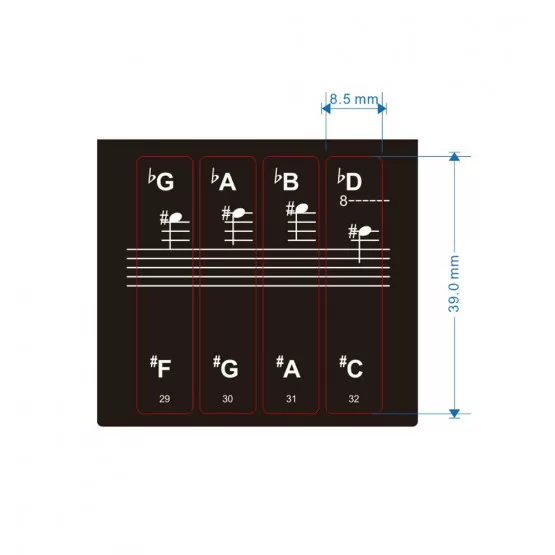 Pegatinas Para Teclas De Piano - Para 88/61/54/49/37 Teclas, PVC Transparente, Notas Coloridas, Fáciles De Quitar Sin Residuos, Ideales Para Principiantes