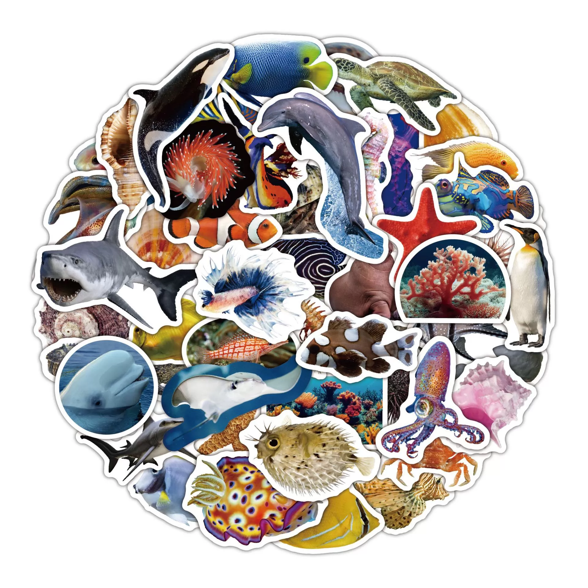 INF Djurklistermärkespaket - Söta och vattentäta klistermärken för barn och vuxna havets liv