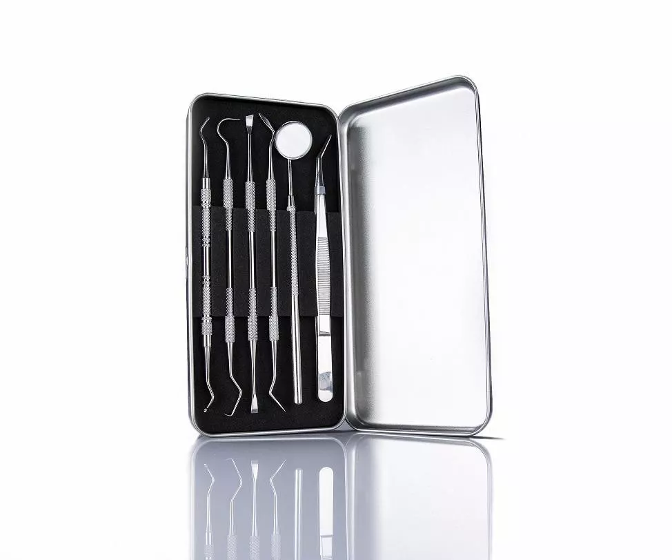 INF Professionellt tandhygien-kit 6 delar Rostfritt stål