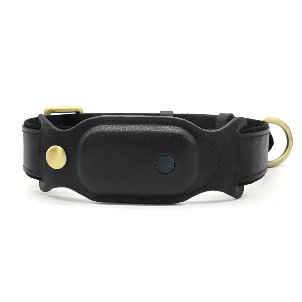 INF AirTag Katthalsband i Läder - Svart (L) M
