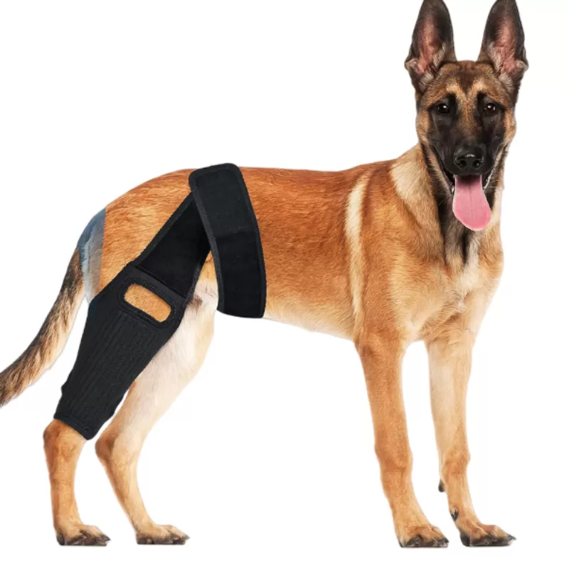 INF Knästöd för Hundar för ACL, CCL, MCL Support S