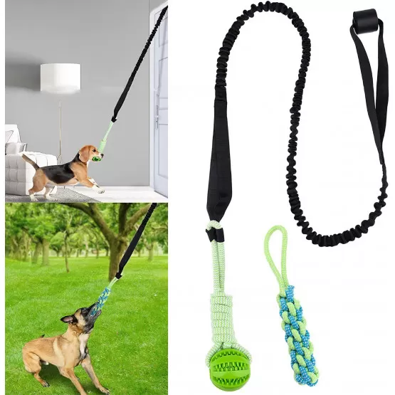 INF Boll för Dragkamp med Hund
