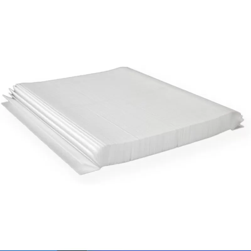 INF Vitt filter för Bullfrog M, Swim & A-seriens spabad