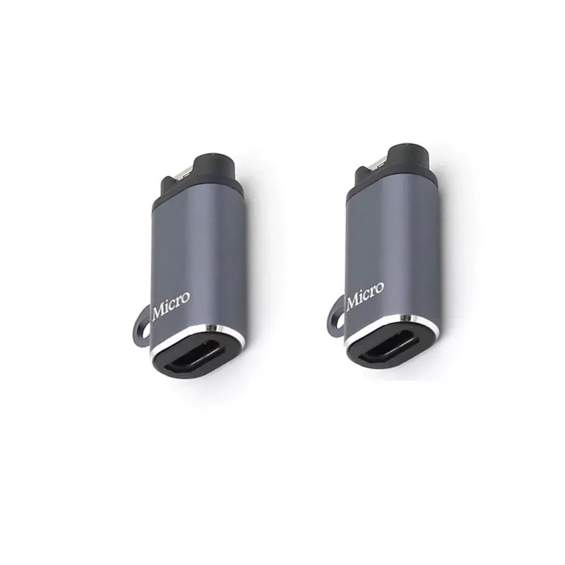 INF Adapter Kompatibel med Garmin till Typ-C Hona, Rak, 2-pack - Ladda Din Garmin Enhet Smidigt