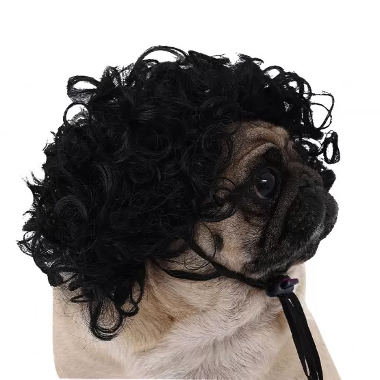 INF Hundperuk Afro Svart - Rolig Cosplay för Husdjur
