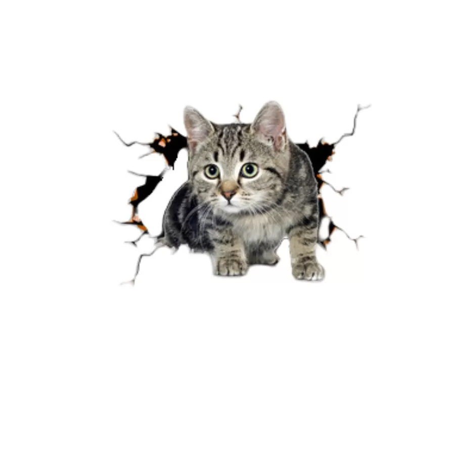 INF Kreativa Bil 3D Stereo Blomma Katt Stor Storlek Klistermärken (2-pack)