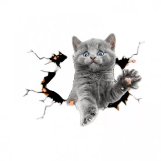 INF Kreativa Bil 3D Stereo Små Grå Katt Klistermärken (2-pack) - Söta Dekaler för Bilen
