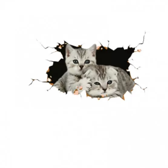 INF Kreativa 3D-bilstickers med två små katter (2-pack) - Söta och personliga