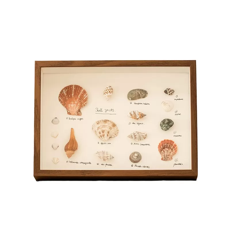 INF DIY Skal Display Ram - Fyrkantig 8-tums ihålig fotoram för torkade blommor och provvisning Kaki