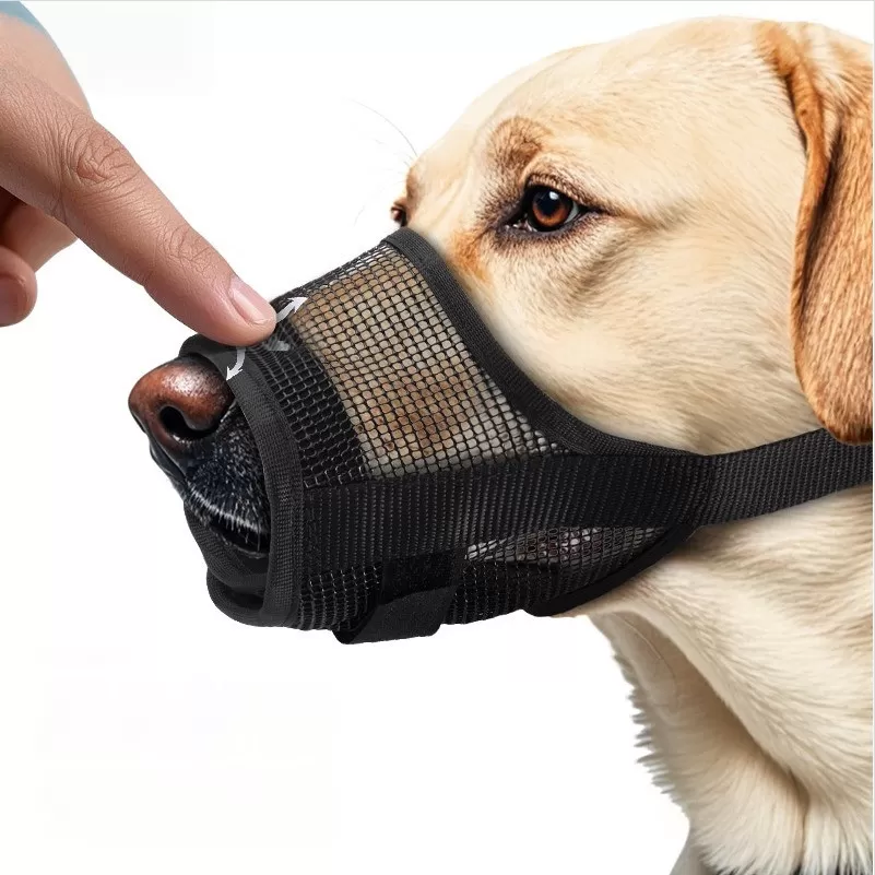 INF Liten Storlek Plastnät Hundmunkorg - Anti-Bett & Tugg, Andningsbar Husdjursmask