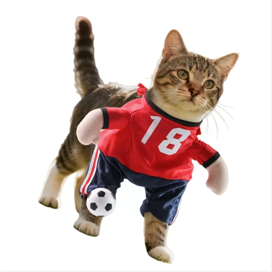 INF Halloween Fotbollsspelare Husdjursdräkt - Rolig Katt- och Hunddräkt för Fester XL