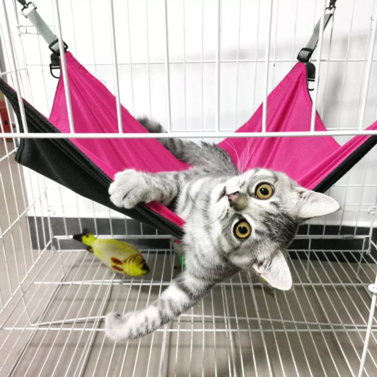 INF Justerbar Hängande Katt Hängmatta - Mjuk Plysch & Stabil Djurbädd Röd