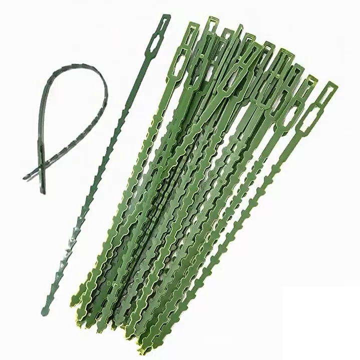 INF Buntband för Klätterväxter, 50-pack